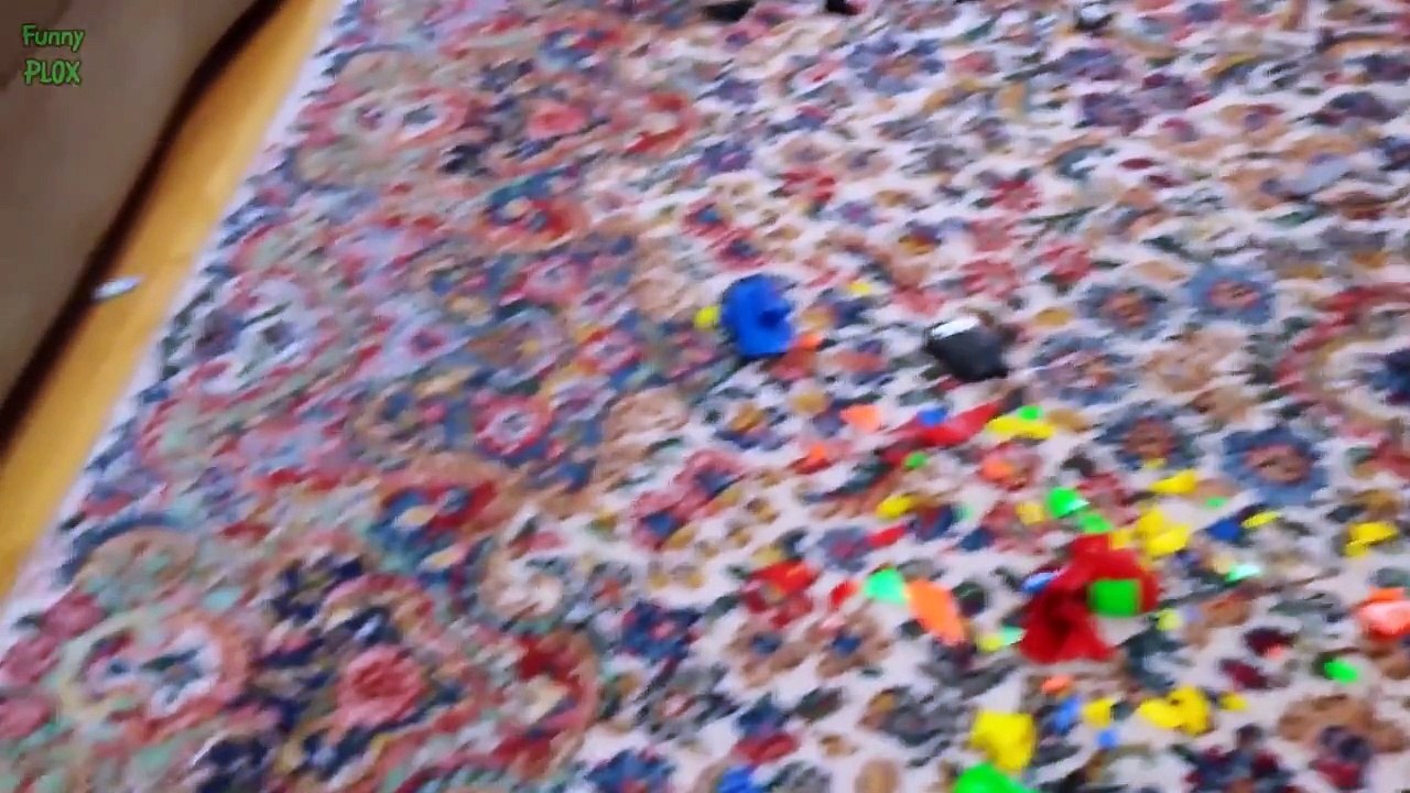 Funny Guilty Dogs Compilation 2015