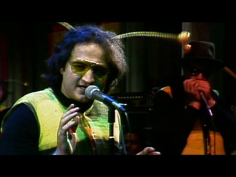 Bumble Bee Blues by Mariachis Gringos and The Electric Trunk