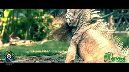 Portoviejo se proyecta al futuro