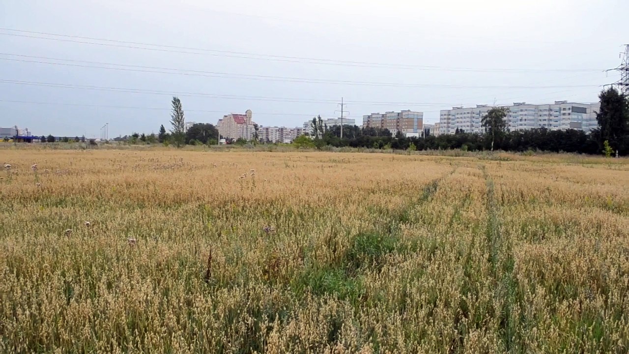 O таинственных кругах в Тольятти