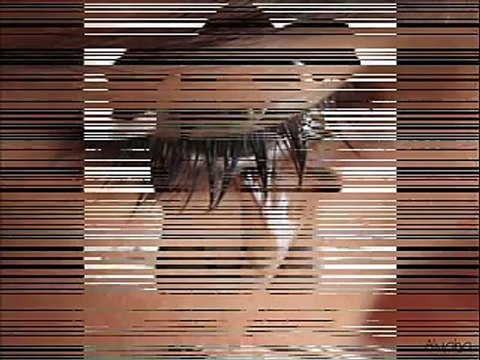 Laura Flores - Nunca Hagas Llorar a una Mujer