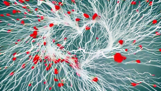 Buddha Bar, ARNO ELIAS - AMOR AMOR feat NINO