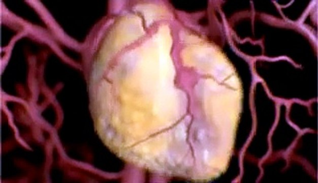 Алкоголь убивает - береги себя! (Полная Версия)