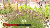 Des plantes dans les villes pour lutter face au réchauffement climatique et à la pollution