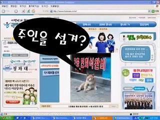 이명박 쥐를 잡자