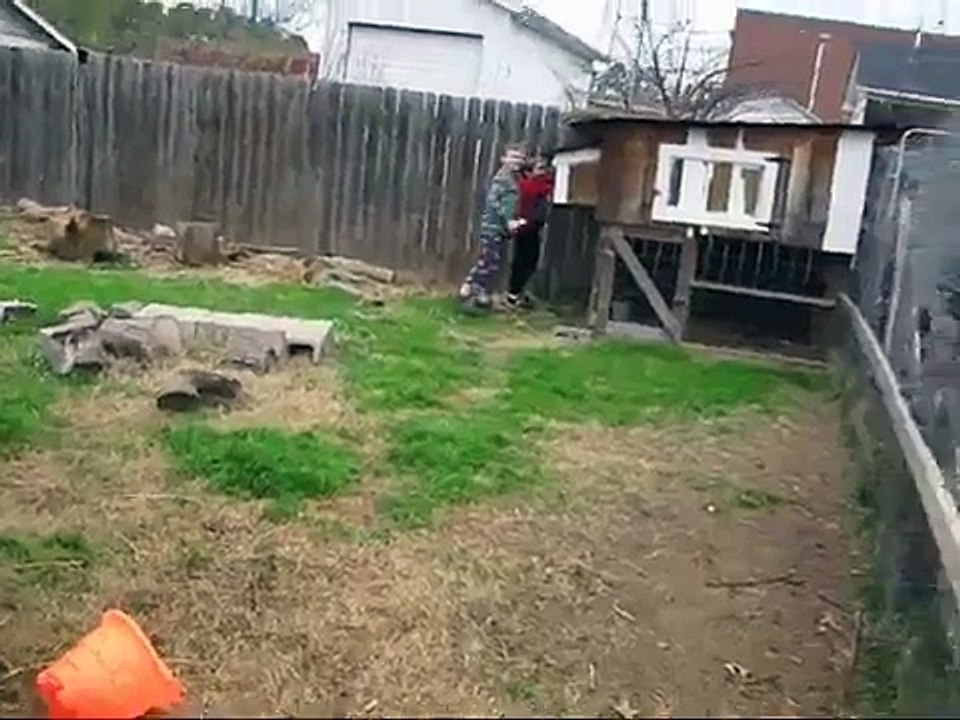 Chicken House
