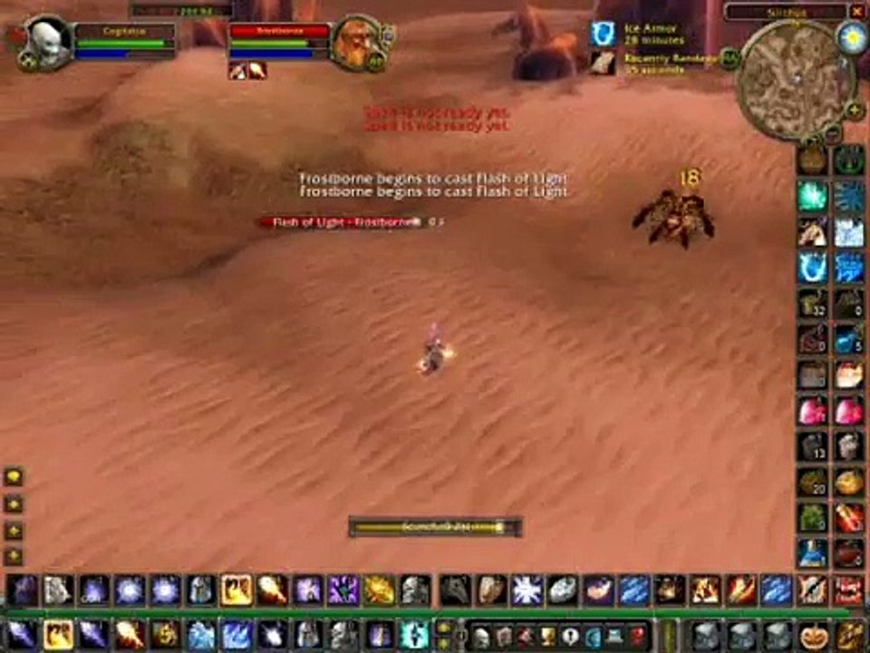 LVL 60 FIRE MAGE OWNING SILITHUS WORLD PVP