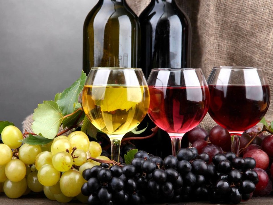 Know More About Your Wine