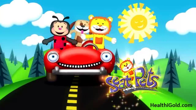 Seat Pets As Seen On TV Reviews | Road Safety with Seat Pets