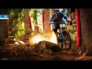 Первый взгляд  MTB Rider