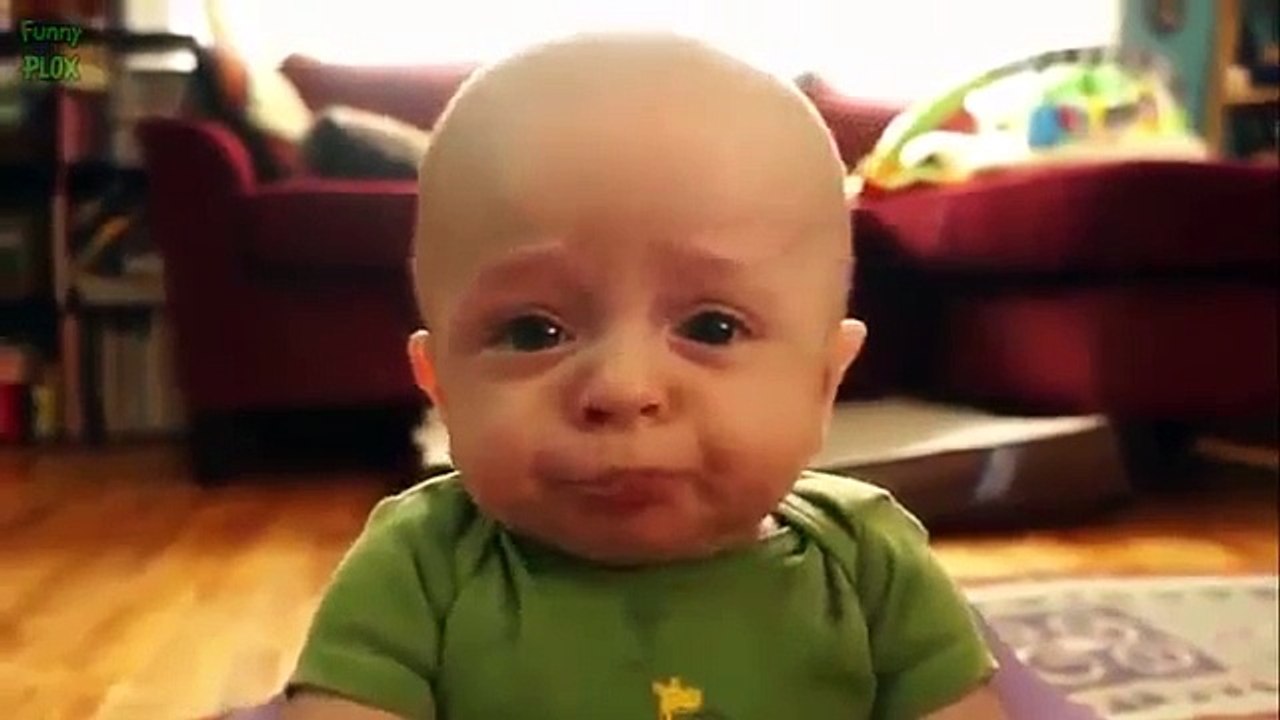 Funny videos   Funny Baby   Funny Pranks   Funny Animals Videos   Funny Kids 2015