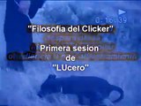 Sesion Filosfia del Clicker.Lucero en Adopcion www.bracanpuebla.com.mx