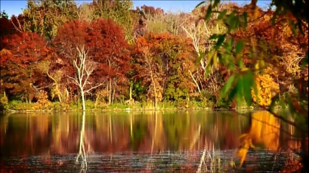 Instrumental by Eyob Tesfasilasse ዘማሪ እዮብ ተስፋስላሴ