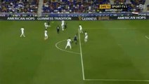 Ibrahimovic Amazing Goal PSG 3 - 1 Fiorentina