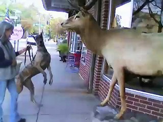 Leo and Summer JAN 2008