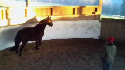 But it´s never enough - Corrado und Astrid♥