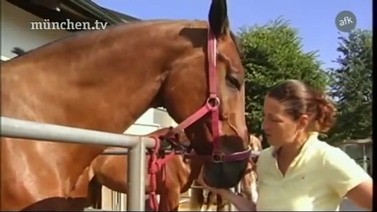 Voltigieren (Ingelsberg) - München.tv (afk.tv -fernsehmacher von morgen)
