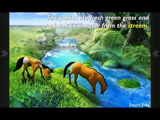 Tuffy the pony (Chip the Dog), 2 series | Stories for Children | Stories for Kids