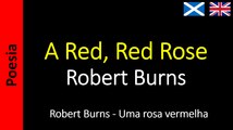 Robert Burns - A Red, Red Rose