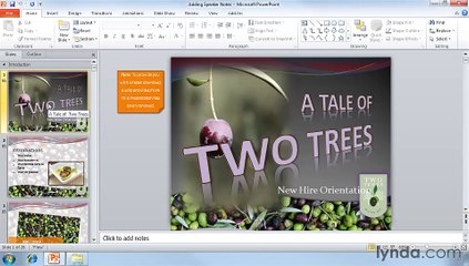 Powerpoint Adding speaker notes