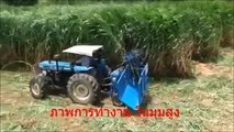 king grass (napier grass) harvester machine