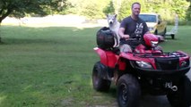Kayla the Husky prefers Riding on ATV