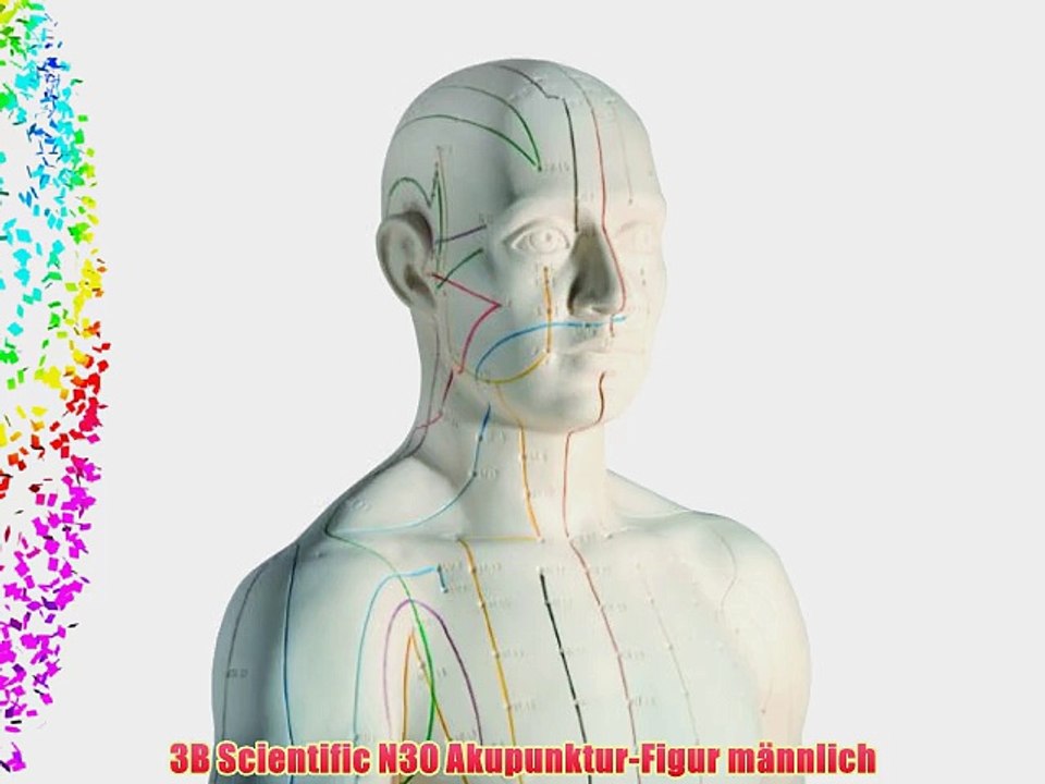 3B Scientific N30 Akupunktur-Figur m?nnlich