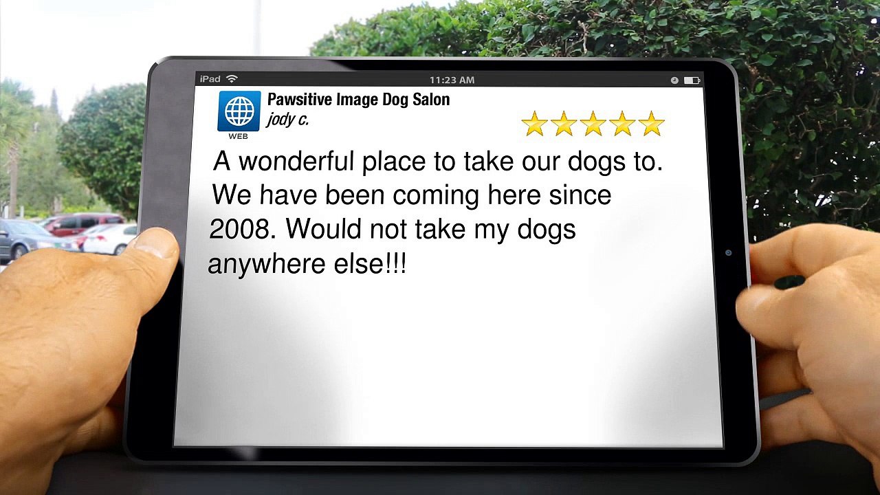 Pawsitive Image Dog Salon  Excellent Five Star Review by jody c.