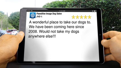 Pawsitive Image Dog Salon  Excellent Five Star Review by jody c.