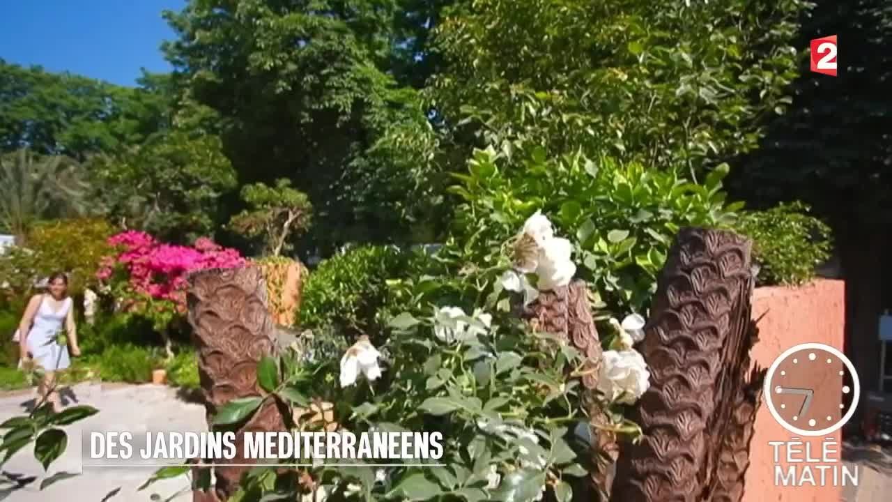 Jardin - Secret de jardin méditerranéen - 2015/07/22