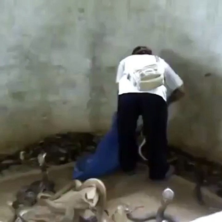 WTF!!