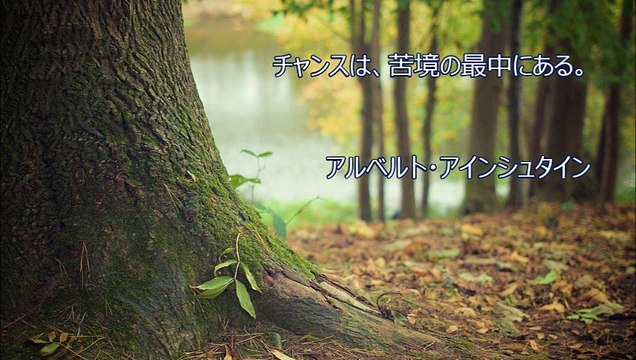 探求心をくすぐられる名言【アルベルト・アインシュタイン】～本澤拓眞（経営アドバイザー）が随時アップ
