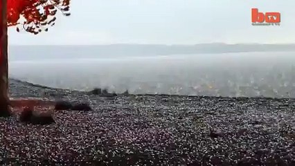 OMG! Horrible Lightning Hitting Seashore