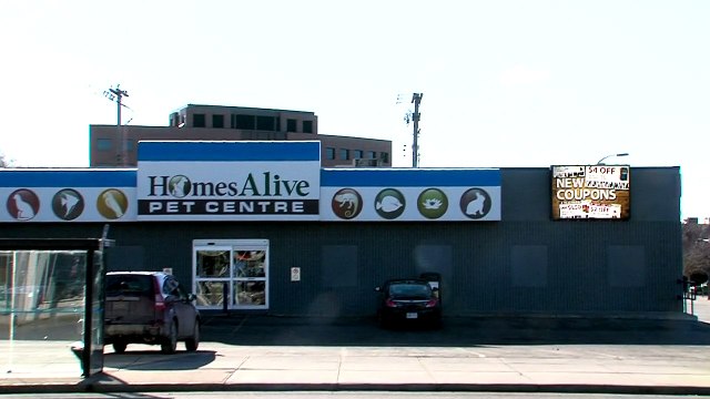 Electronic LED Signs