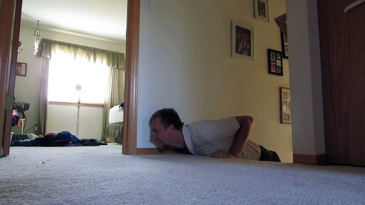 Il joue à cache-cache avec son chat !