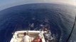 Hula Girl Sport  Fishing Charters in Kona Hawaii