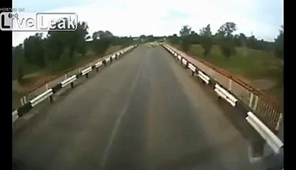 Goats get squashed by logging truck