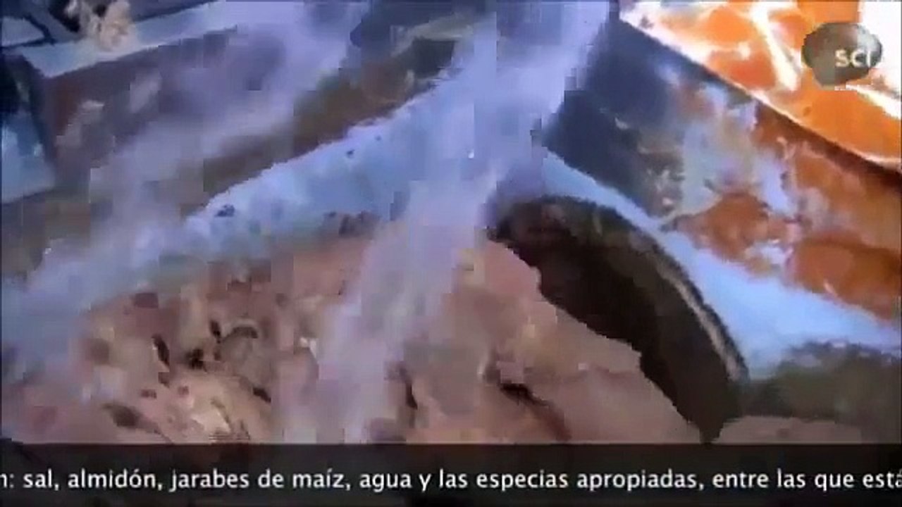 Un vistazo al proceso de produccion y fabricacion de las Salchichas
