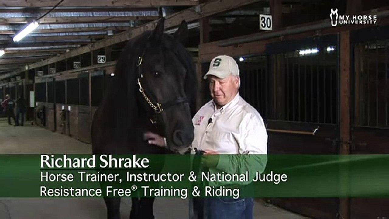 Richard Shrake Training Tips