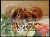 Kaninchen Ernährung: Gesunde Ernährung für Langohren
