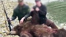 End Trophy Hunting of Bears in the Great Bear Rainforest