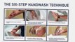 Safe Hands Six Step Handwashing