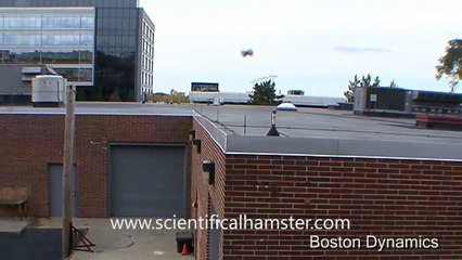 Sand Flea Jumping Robot