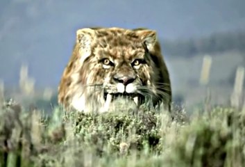 Kılıç Dişli Kaplan