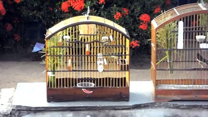 TORNEIO DE PAPA CAPIM NA PRAÇA DE LAURO  DE FREITAS