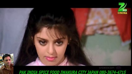 Kaisa Lagta Hai-Amit Kumar_Anuradha Paudwal+HD スパイスハラルフード　岩倉市 ジャパンjapan halal food spice