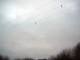 Thousands of starlings in flight set to Elbow music