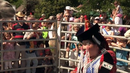 Kamelfest Mundenhof Stadt Freiburg