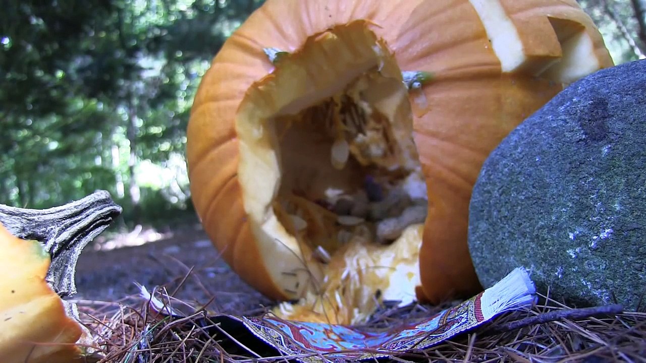 Pumpkin Feeder #1 (2014) Chipmunks and squirrels