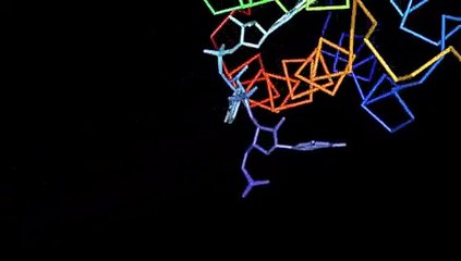 Ribgrass mosaic virus